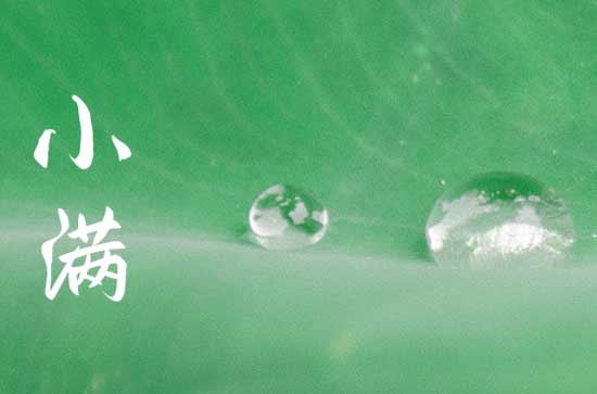 适合小满节气发的文案句子80句 适合小满节气发的文案句子80句