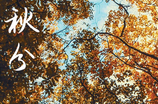 2024年秋分是哪一天 2024年秋分入土吉祥吗