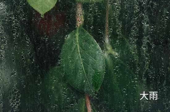 丹东8月6日天气预报:高温29℃~低温22℃，中到大雨转雨，会下雨