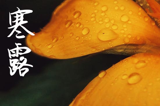 2024寒露是几月几日几点 寒露三候