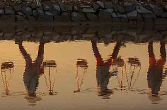 2023法定假日五一放假几天 五一劳动节怎么放假2023