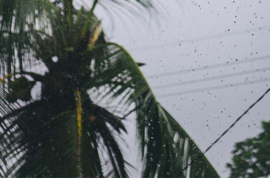 台南10月30日天气预报:高温23℃~低温21℃，小雨，会下雨