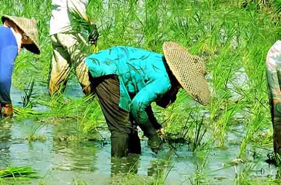 高考霸气祝福语八个字(110句) 高考霸气祝福语八个字(110句)