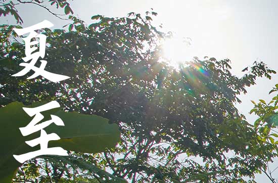 2023年夏至过后几点天亮 夏至过后白天变长了吗 2023年夏至过后几点天亮 夏至过后白天变长了吗