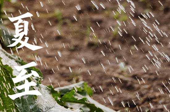 夏至哪个地方白昼最长