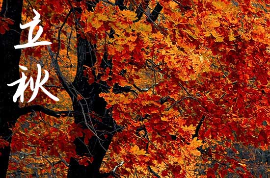 今日立秋几时几分,2024年7日8时9分立秋