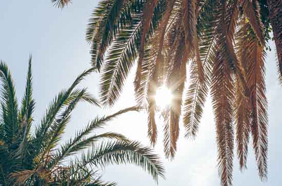 银川8月25日天气预报:高温26℃~低温18℃，晴转多云，不会下雨