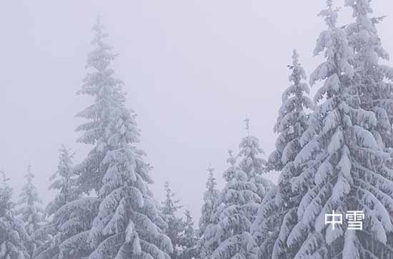 河北12月14日降雪持续明起降温明显局地超14℃ 石家庄未来三天天气预报