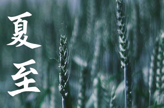 夏至是入伏的头一天吗 夏至是入伏的头一天吗