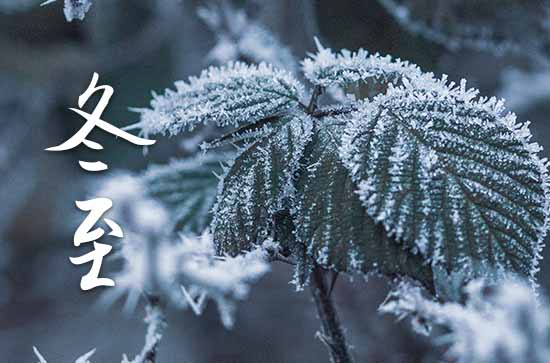 今年什么时候冬至2024 冬至简介