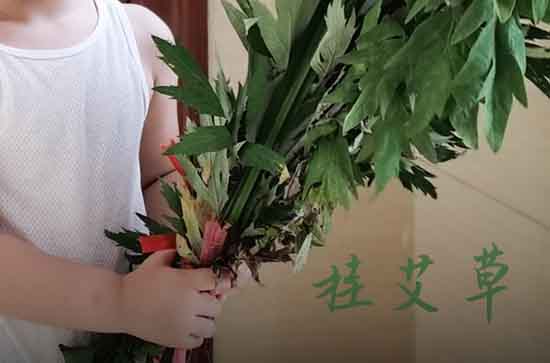 2023端午有三薪吗 2023端午三薪是哪几天