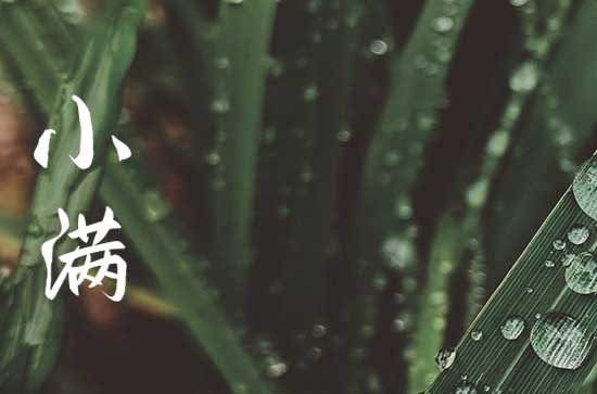 小满风俗吃什么