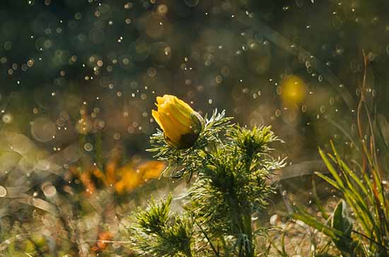 今天南昌天气好不好 2024年9月9日今日黄历 今天南昌天气好不好 2024年9月9日今日黄历