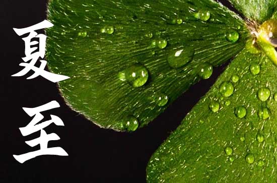 关于夏至的农事耕作有哪些   夏至适合种植哪些农作物