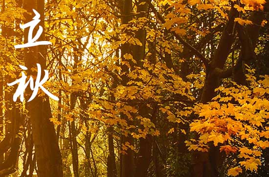 2024年立秋是哪一天 立秋三侯