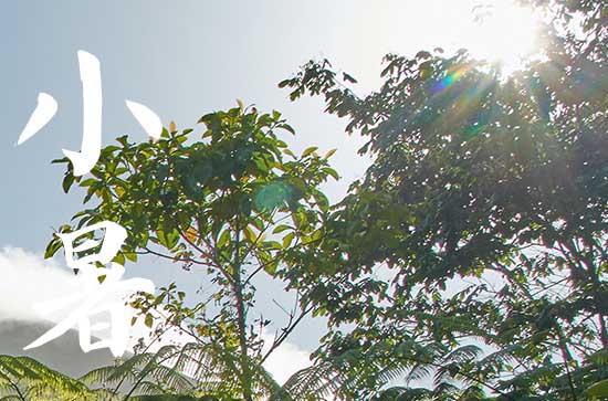 2024年小暑是进入三伏天吗