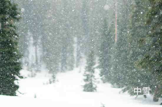 山东12月13日起三天降雪大风降温齐袭 潍坊未来三天天气预报