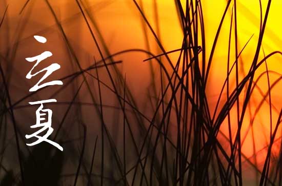 立夏是指夏天的第一天吗 夏天从什么时候开始算