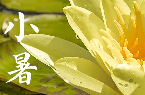 小暑有什么特点和风俗  关于小暑的古诗词