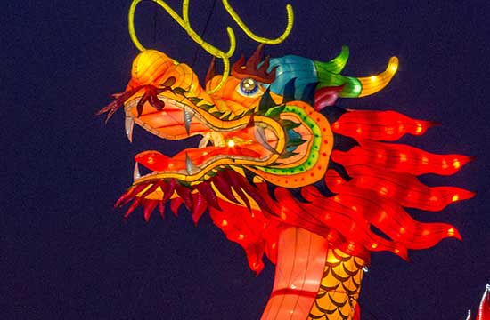 属龙的和什么属相不配