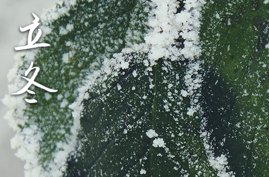 2024年立冬是什么时候时间 2024立冬提车好吗