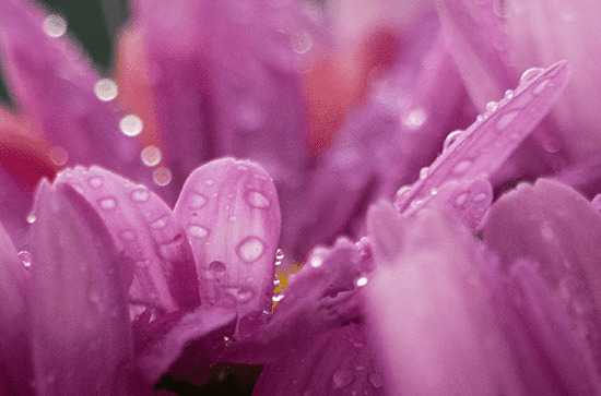 谷雨名篇佳作 谷雨诗词有哪些