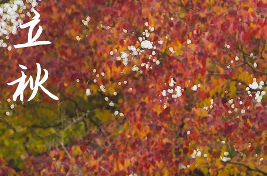 2024年立秋当天吃啥