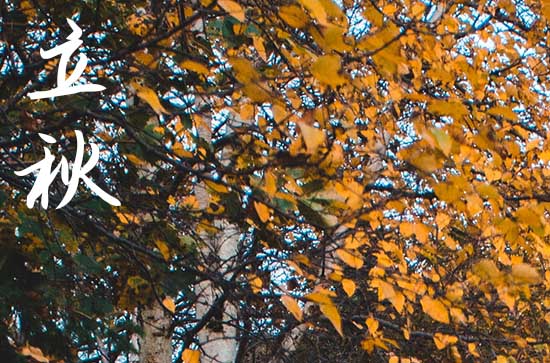 南方立秋吃什么传统食物 关于立秋的谚语 南方立秋吃什么传统食物 关于立秋的谚语