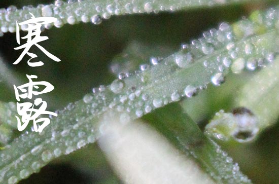 2023年寒露是10月8日的几点几分