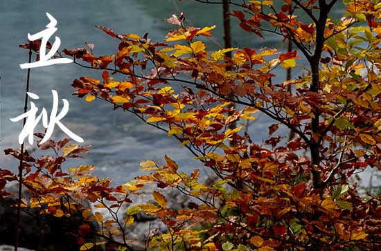 今年几点立秋2024