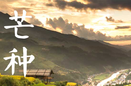 今日芒种走心正能量文案（90句）