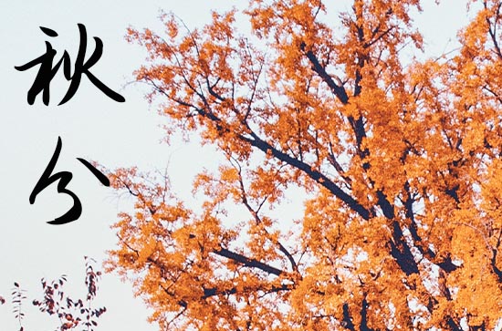 2024年秋分节气的祝福语