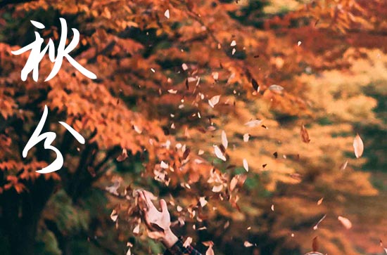 秋分节气祝福句子大全60句精选 秋分节气祝福句子大全60句精选