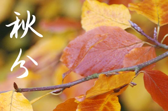 今日秋分的祝福说说2024