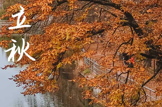 面面俱到话立秋养生 立秋养生应该怎样做