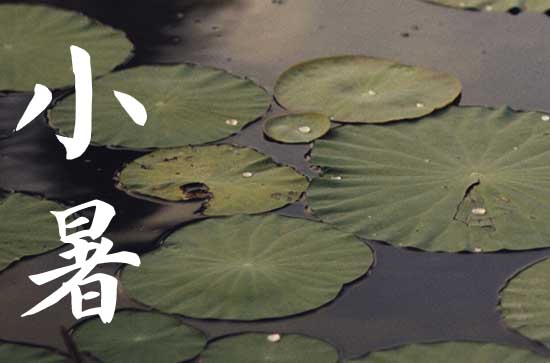 2024年7月小暑是哪一天