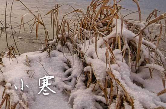 2024小寒养生问候祝福语汇总60句