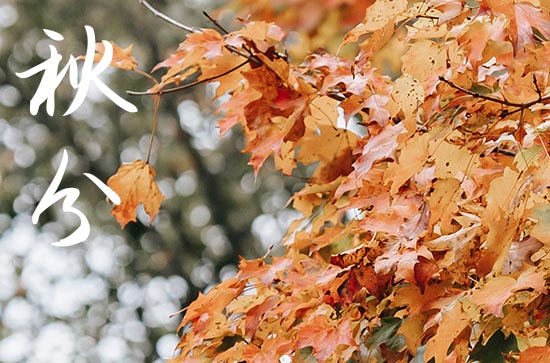 秋分是几月几号2024年 2024年秋分能分居吗