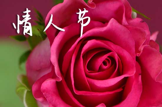 2024年5月20日网络情人节当天办婚礼好吗 网络情人节是办婚礼的吉日吗2024