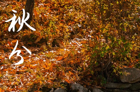 2024年什么时候秋分 这天是什么星座星期几