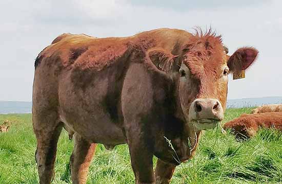 2021年出生的人命好吗