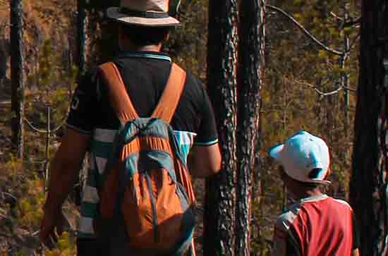 父亲节赞颂父爱的祝福语（120句）