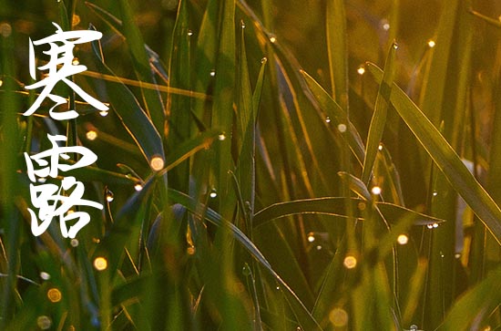 2024年寒露在哪一天