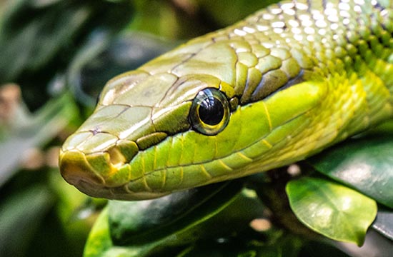 77年男蛇一生有几段姻缘2024