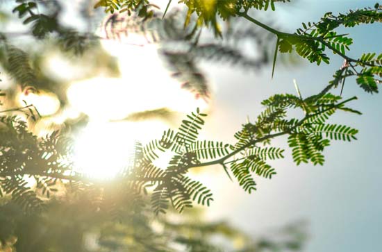 邵阳最近天气怎样 邵阳天气7天查询