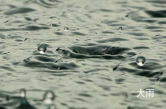 扬州6月20日天气预报:高温29℃~低温25℃，大雨转雨，会下雨