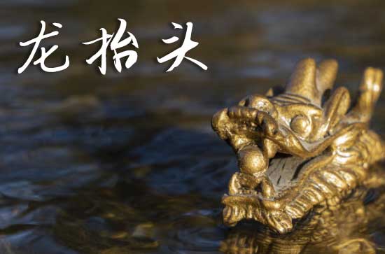 2025龙抬头阳历准确是几月几号 2025年3月1日龙抬头当天买猫好吗
