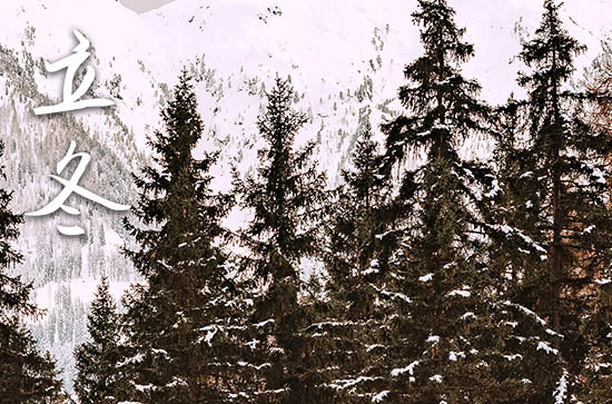 2024年立冬要吃哪些食物