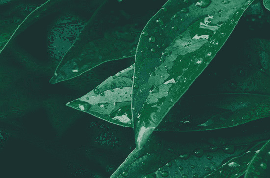 2024谷雨是几月几日几时几分几秒,谷雨时间2024年几点几分