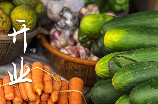 2024属牛农历十月店铺开张吉日一览表 2024年属牛农历十月最佳的店铺开张吉日